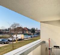 IMG_8044.jpeg