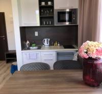 Kuchyně v 2pokojovém bytě s bílými skříňkami a mikrovlnnou troubou.