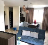 Obývací pokoj v 2-pokojovém bytě s pohovkou a jídelním stolem; podlaha s dřevěným dekorem.