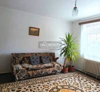 Obývací pokoj v rodinném domě s koberci, gaučem a pokojovou rostlinou.