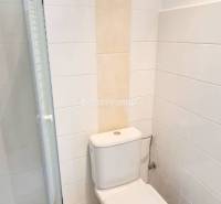 Koupelna v kanceláři se sprchovým koutem a toaletou.