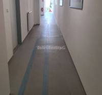 Dlouhá chodba s bílými stěnami, stropními světly a obrázky v kancelářích.