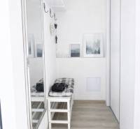 Vstupní hala v 2-pokojovém bytě se zrcadlem, lavičkou a podlahou s dřevěným dekorem.