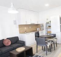 Obývací pokoj s kuchyní v 2-pokojovém bytě, podlaha s dřevěným dekorem.