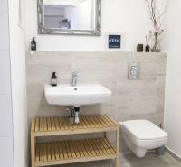 Koupelna s umyvadlem a zrcadlem, jednoduchá dekorace a světlé obklady stěn v 2-pokojovém bytě.