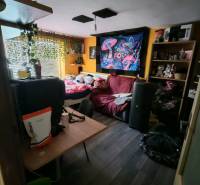 Pokoj v rodinném domě s pestrobarevnou dekorací a podlahou s dřevěným dekorem.