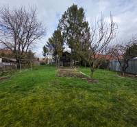 Zahrada na ulici Bohdanovce, Bohdanovce, vhodná na Pozemky - bydlení.