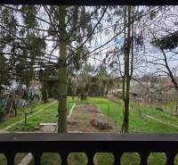 Pohled na zelený pozemek v Bohdanovicích obklopený stromy pro bydlení.