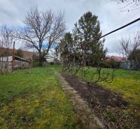 Zahrada v Bohdanovcích s trávníkem a stromy, ideální pro Pozemky - bydlení.