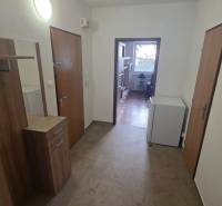 Vstupní hala a chodba v 1-pokojovém bytě s podlahou s dřevěným dekorem.