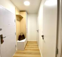 Předsíň s podlahou s dřevěným dekorem, skříňkou a věšákem v 2-pokojovém bytě.