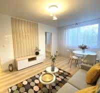 Obývací pokoj dvoupokojového bytu s podlahou s dřevěným dekorem, světlým nábytkem a dekoracemi.