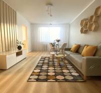 Obývací pokoj v 2-pokojovém bytě s podlahou s dřevěným dekorem a vzorovaným kobercem.