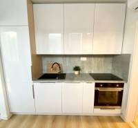 Kuchyňská linka s bílými skříněmi, šedou pracovní deskou a podlahou s dřevěným dekorem, 2-pokojový byt.