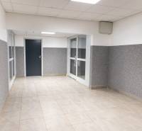 Chodba s dlažbou a bílými stropními panely ve 4-pokojovém bytě.