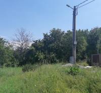 20200720_134228.jpg