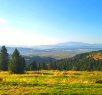 Zábiedovo: Zemědělské a lesní pozemky se stromy a rozlehlými loukami na pozadí kopců.