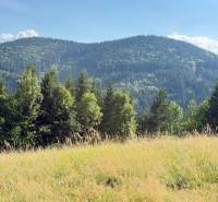 Horská krajina u Horní Marikové s lesy a loukou pod slunečnou oblohou.