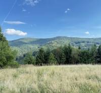 Horská krajina u Horní Marikové s loukou a lesy pod modrou oblohou.