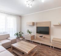 Obývací pokoj 3pokojového bytu s podlahou s dřevěným dekorem a pohodlnou sedačkou.