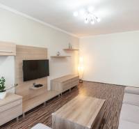 Obývací pokoj třípokojového bytu s podlahou s dřevěným dekorem a šedou pohovkou.