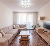 Obývací pokoj s pohovkou, podlahou s dřevěným dekorem a dekoracemi v 3-pokojovém bytě.