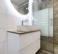 Koupelna s umyvadlem a sprchovým koutem v 3-pokojovém bytě, podlaha s dřevěným dekorem.