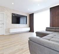 Obývací pokoj ve 3-pokojovém bytě s pohovkou a podlahou s dřevěným dekorem.