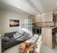 Obývací část 1-pokojového bytu s kuchyní a sedačkou, podlaha s dřevěným dekorem.