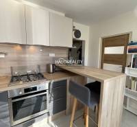 Kuchyně v 1-pokojovém bytě s kuchyňským pultem a spotřebiči.