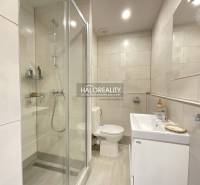 Koupelna v 1-pokojovém bytě s vanou, sprchovým koutem a umyvadlem.