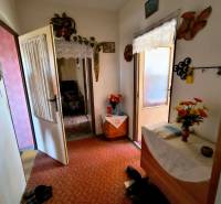 Vstupní hala 3pokojového bytu s kobercem, nábytkem a květinami na dekoraci.