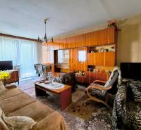 Obývací pokoj v 3pokojovém bytě s rustikálním nábytkem a výrazným kobercem.