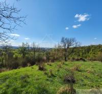 Krajina v Krupině s rozkvetlou loukou vhodná na pozemky - bydlení s panoramatickým výhledem.