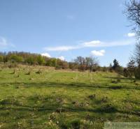 Louka v Krupině pro Pozemky - bydlení, s květinami a udržovanou zelení.