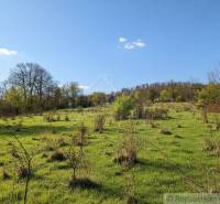 Čerstvá louka s řídkými stromy na pozemcích pro bydlení v Krupině.
