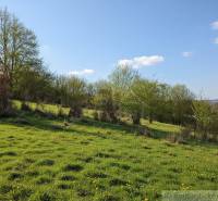 Rozkvetlé louky a stromy v Krupině prezentují Pozemky - bydlení v idylickém prostředí.