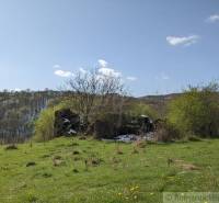 Zeleň a krajina s ruinami v Krupině, vhodná na pozemky - bydlení.