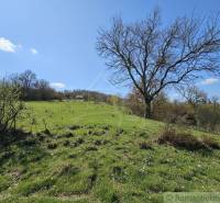 Zeleň s květinami a stromy na pozemcích pro bydlení v okolí Krupiny.