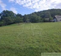 Louka a stavby na pozemcích - bydlení v Horním Tisovníku, obklopené lesem.