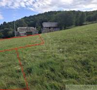 Pozemky - bydlení, Horní Tisovník. Travnatá plocha s venkovskou budovou a zalesněným kopcem v pozadí.