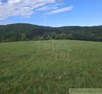 Zelená louka obklopená lesy v Horním Tisovníku, ideální pro pozemky - bydlení.