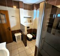 Koupelna v rodinném domě s dlažbou, sprchou a toaletou.