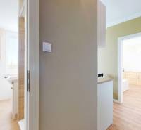 Koupelna a kuchyně v 1-pokojovém bytě s podlahou s dřevěným dekorem.