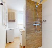 Koupelna v 1-pokojovém bytě se sprchou a podlahou s dřevěným dekorem.