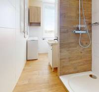 Koupelna s podlahou s dřevěným dekorem, se sprchou a pračkou v 1-pokojovém bytě.