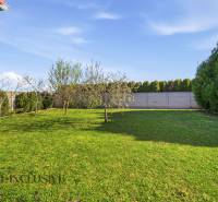 Zahrada rodinného domu v Kútnikách s trávníkem a ovocnými stromy.