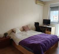 Ložnice v 3-pokojovém bytě s postelí, pracovním koutem a podlahou s dřevěným dekorem.