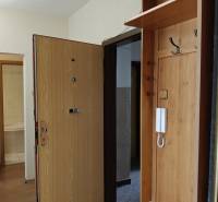 Vstupní hala ve 3-pokojovém bytě s podlahou s dřevěným dekorem a věšákovou stěnou.