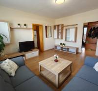 Světlý obývací pokoj s pohovkou a podlahou s dřevěným dekorem v 3-pokojovém bytě.